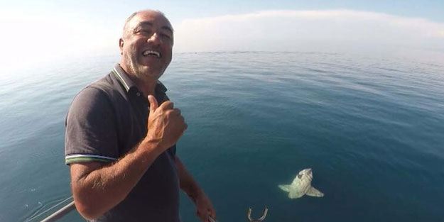 Ay balığı Gökçeada açıklarında görüntülendi