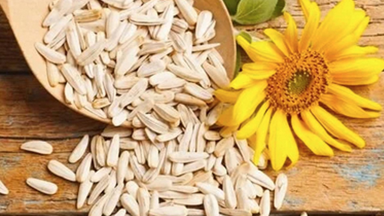 Ay Çekirdeği hakkında neler biliniyor? Önemi çok büyük!