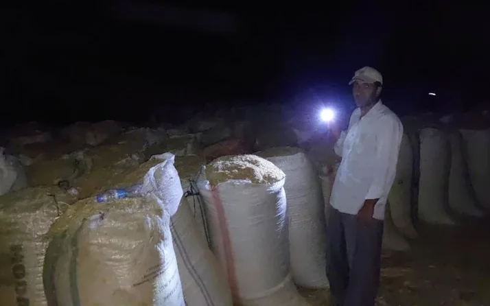 Ay ışığında çalışıyorlar! Bir gecede kazandıkları para dudak uçuklattı