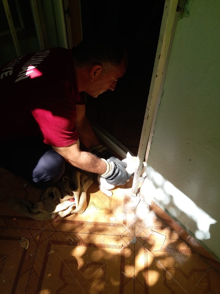 Ayağı demir ile duvar arasına sıkışan kedi kurtarıldı 