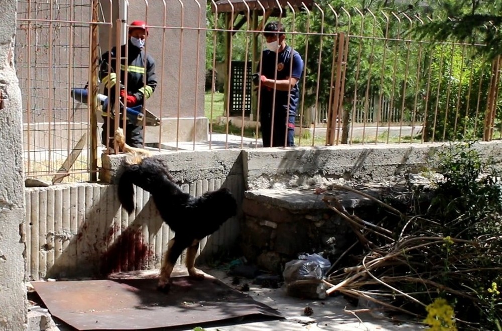 Ayağı demir korkuluğa sıkışan yaralı köpeği itfaiye kurtardı 