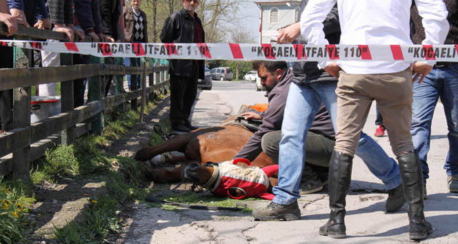 Ayağı sıkışan atı itfaiye kurtardı