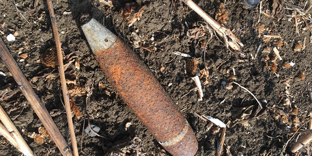 Ayçiçeği toplamaya gitti, karşılaştığı manzarayla şok oldu