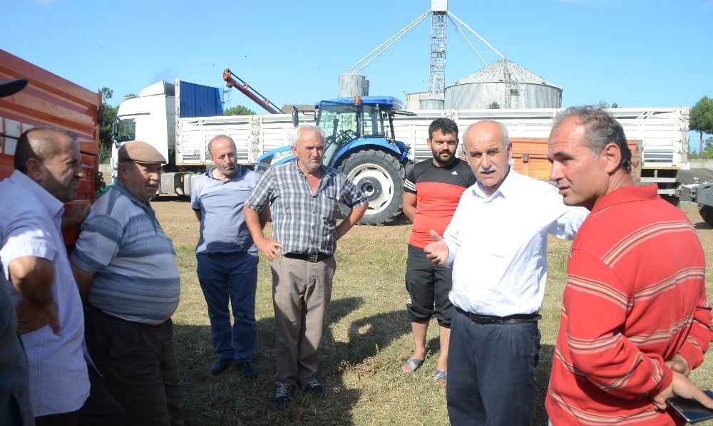 Ayçiçeği üreticileri fiyatlardan memnun değil 