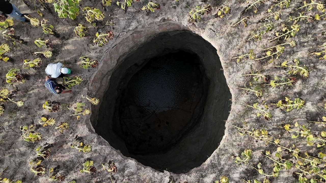 Ayçiçek tarlasındaki devasa obruk görenleri korkuttu