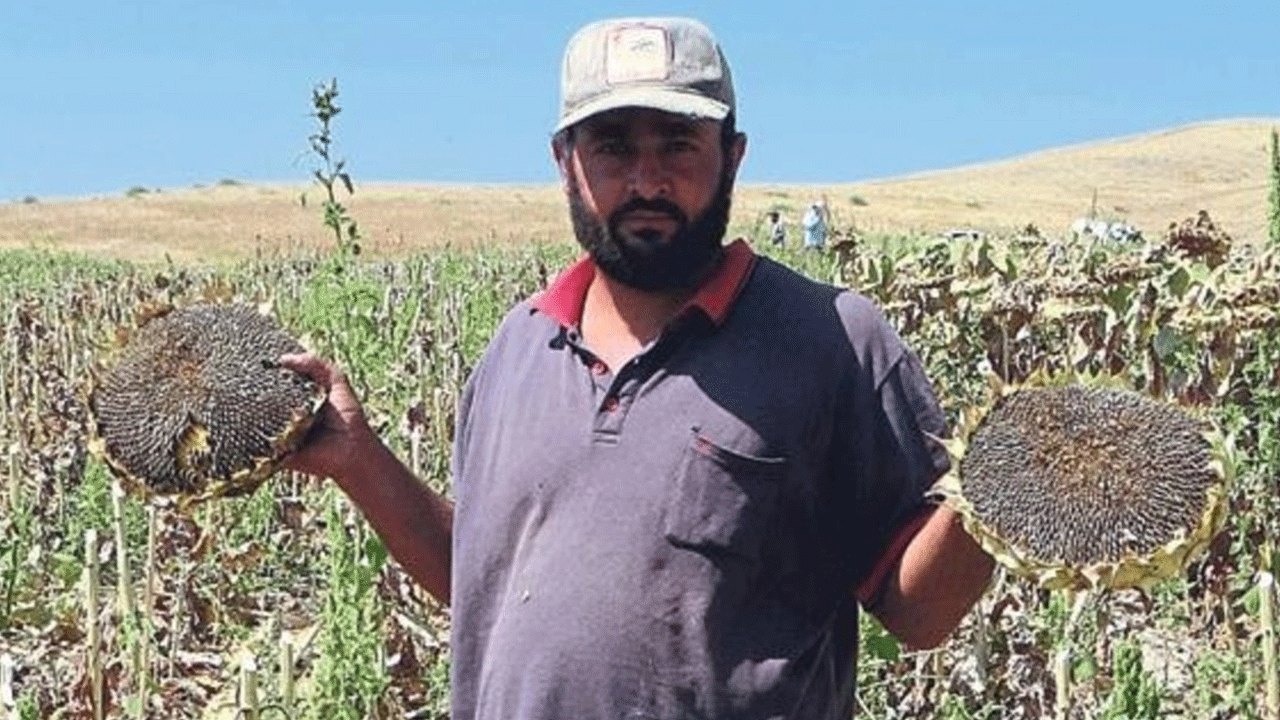 Ayçiçek yağlarında fiyatlar uçabilir! Ziraat Odası Başkanı’ndan flaş açıklama