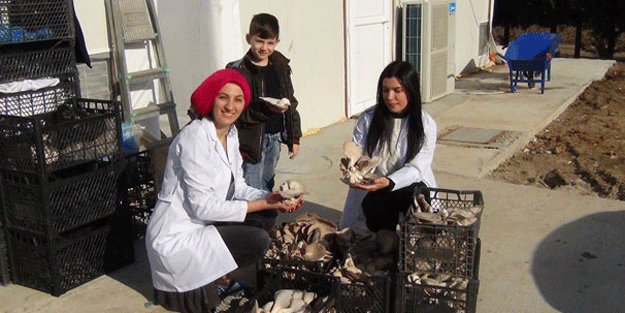 Ayda 10 ton üretiyorlar! Aile bütçesine destek olmak isterken bir anda patron oldular!