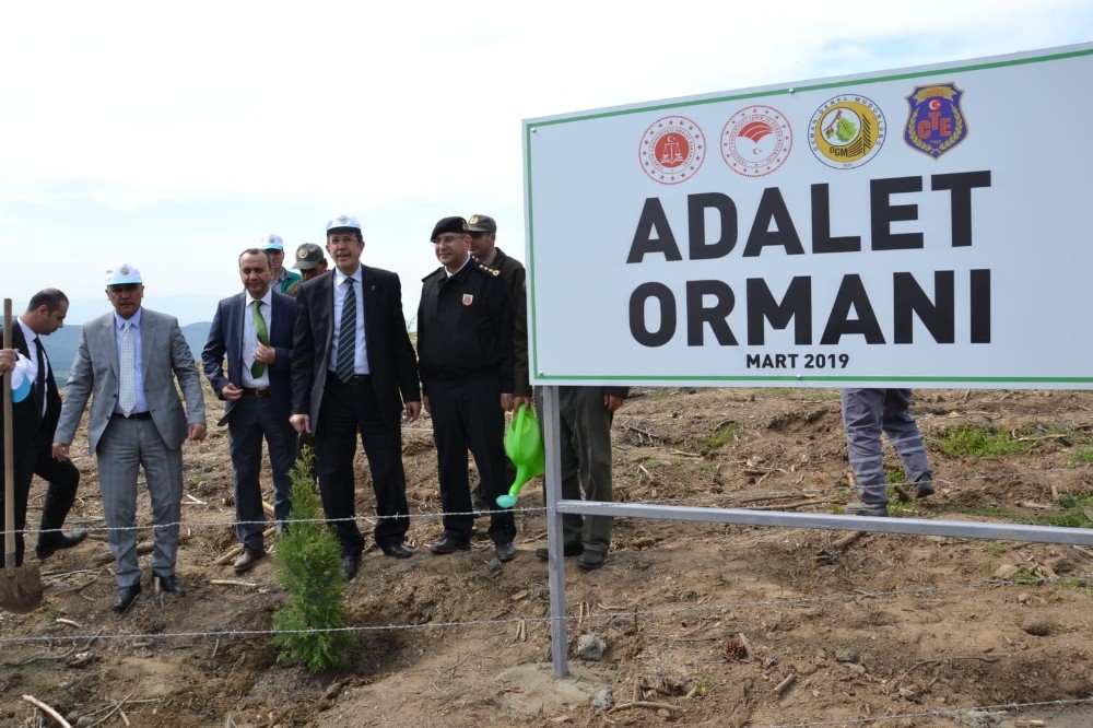 Aydın Adalet Ormanı’nda fidanlar toprakla buluştu 