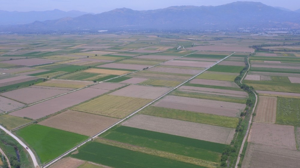 Aydın, Denizli ve Muğla’da 269 bin 647 dekar tarım arazisi toplulaştırıldı 