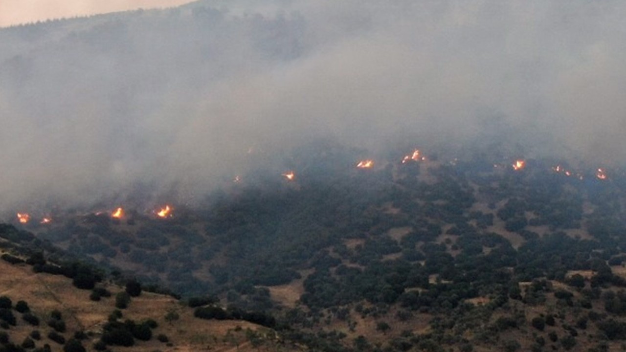 Aydın Efeler’de tarım arazisinde başlayan yangın ormana sıçradı