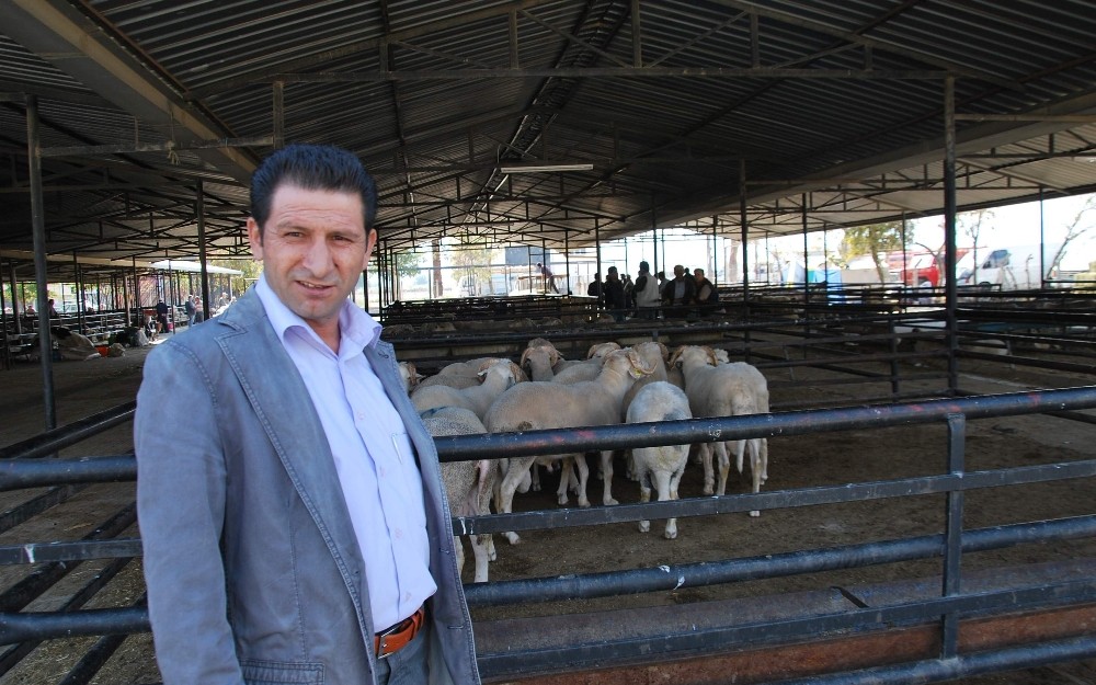 Aydın il genelinde hayvan pazarları kapatıldı 