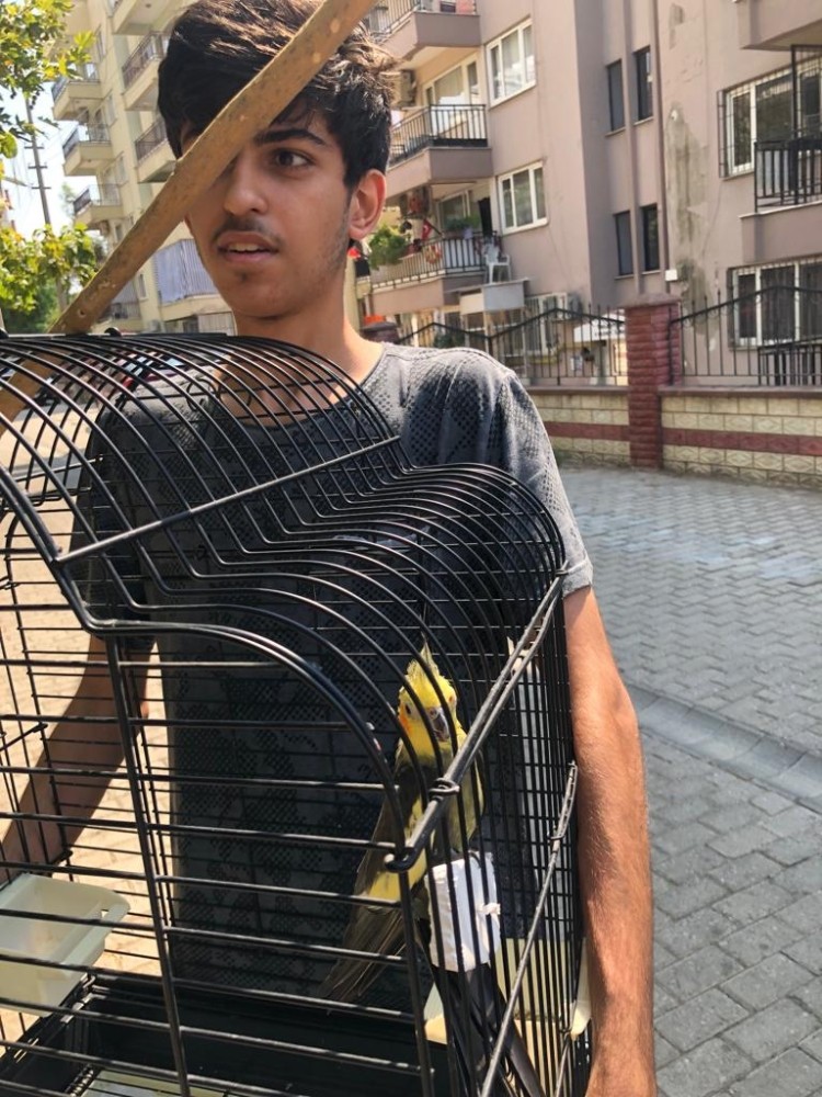 Aydın itfaiyesinden papağan operasyonu 