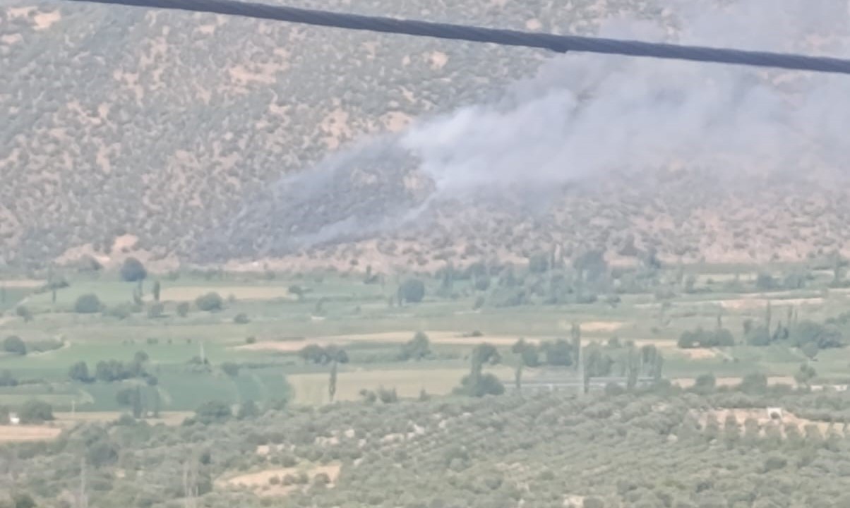 Aydın Nazilli’de Makilik ve Zirai Alanda Yangın