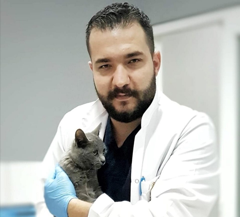 Aydın Veteriner Hekimleri Odasından ‘mobil kısırlaştırma’ uyarısı 