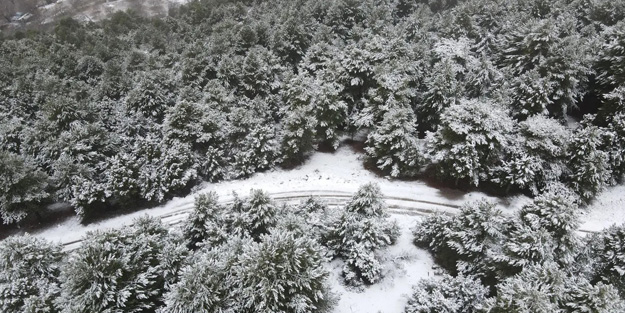 Aydın'a yılın ilk karı düştü! Görüntüler hayran bıraktırdı