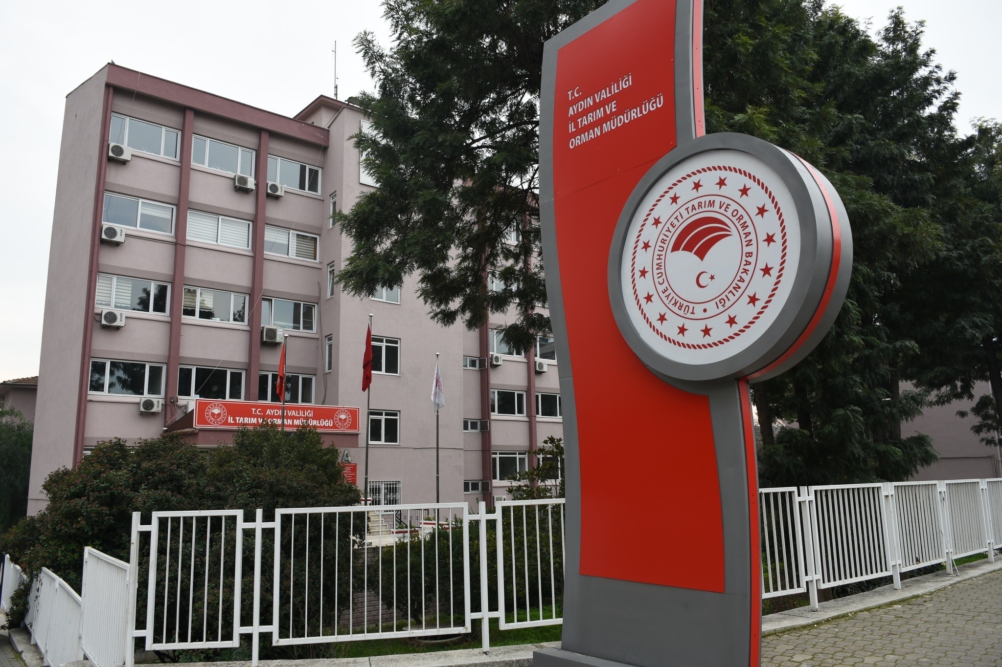 Aydın'da 10 üreticiye 117 bin TL destek ödemesi yapıldı