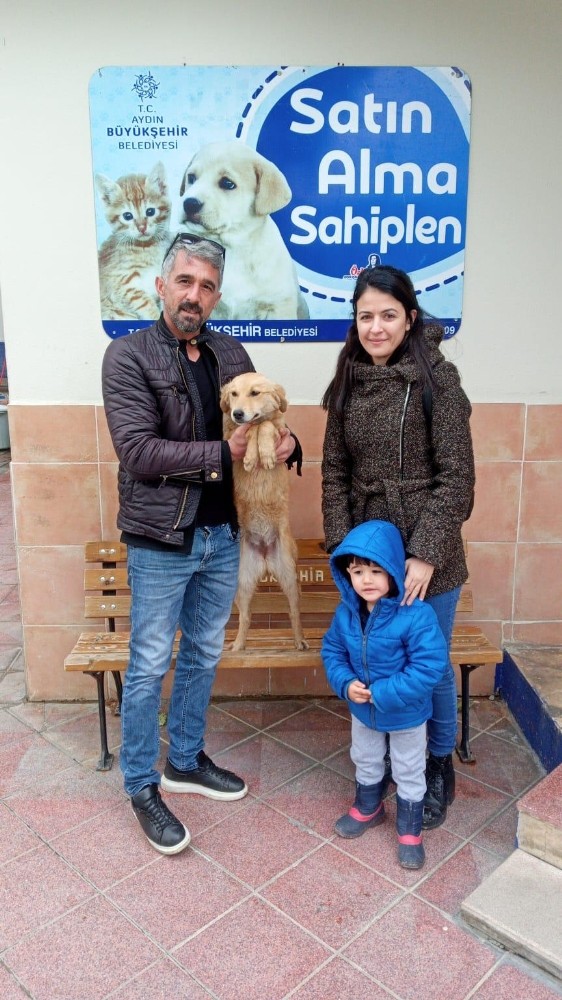 Aydın’da 2 bin 905 sokak hayvanı sahiplenildi 