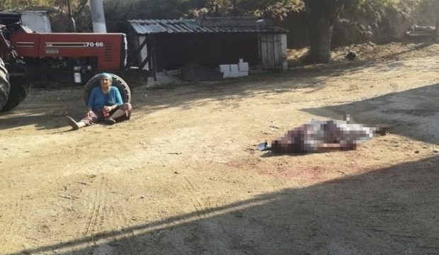 Aydın'da 72 yaşındaki baba 'evlenemezsin' dedi öz evladını öldürdü