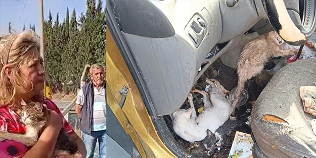 Aydın'da acımasız kadın evini hayvan mezarlığına çevirdi!