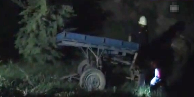 Aydın'da At Arabası kazası: At telef oldu, 6 yaralı