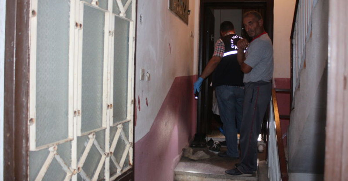 Aydın'da baba oğul kavgası kanlı bitti