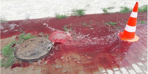 Rögardan bir anda kan fışkırdı! vatandaş panikledi!