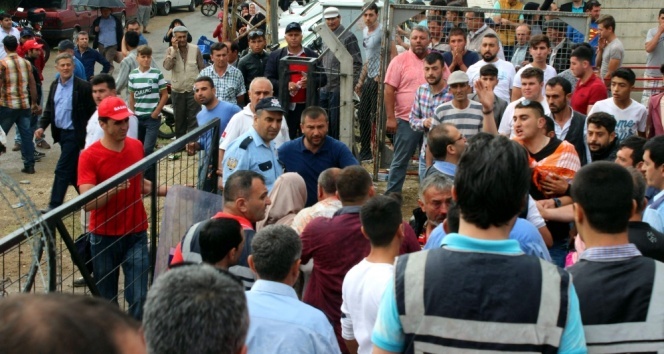 Aydın'da boğa arenası ringe döndü
