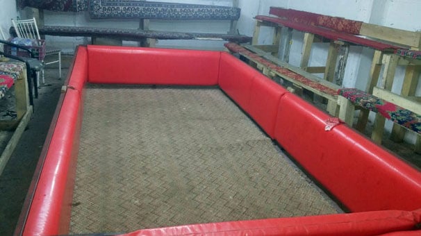 Aydın'da evin alt katını arenaya çevirmiş