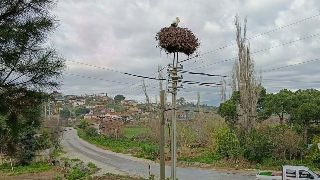 Aydın’da gelenek sürüyor! İlk leyleği görene bir çuval un