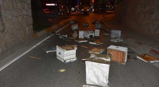 Aydın'da kamyonun kasası köprüye takıldı, arı kovanları yola saçıldı