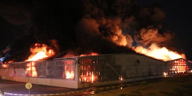 Aydın'da yangın! Olaya müdahale ediliyor