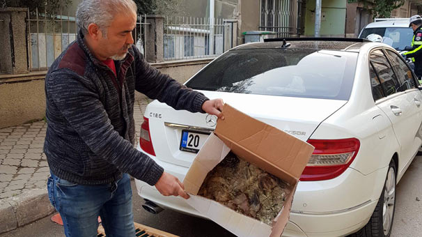 Aydın'da lüks otomobilde şok eden görüntüler!