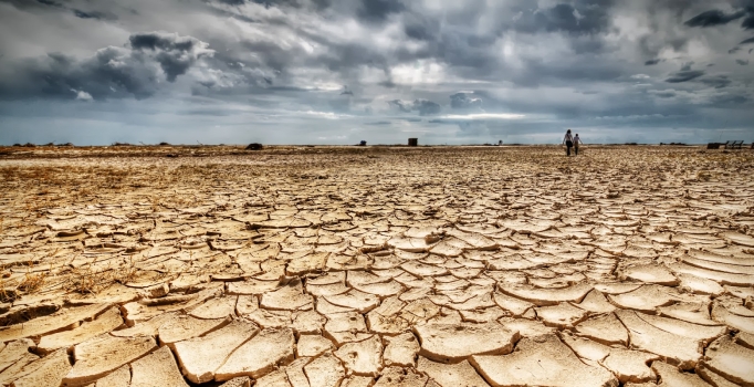 Aydın'da mevsimler tersine döndü