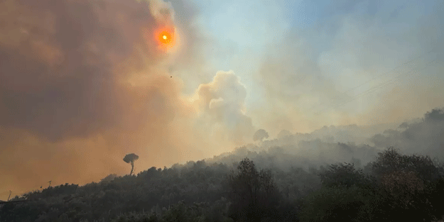 Aydın'da orman yangını! Ekipler müdahale ediyor