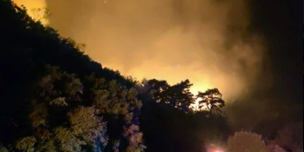 Aydın'da orman yangını