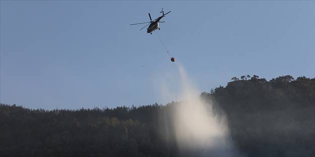Aydın'da orman yangını: Helikopter desteği geldi