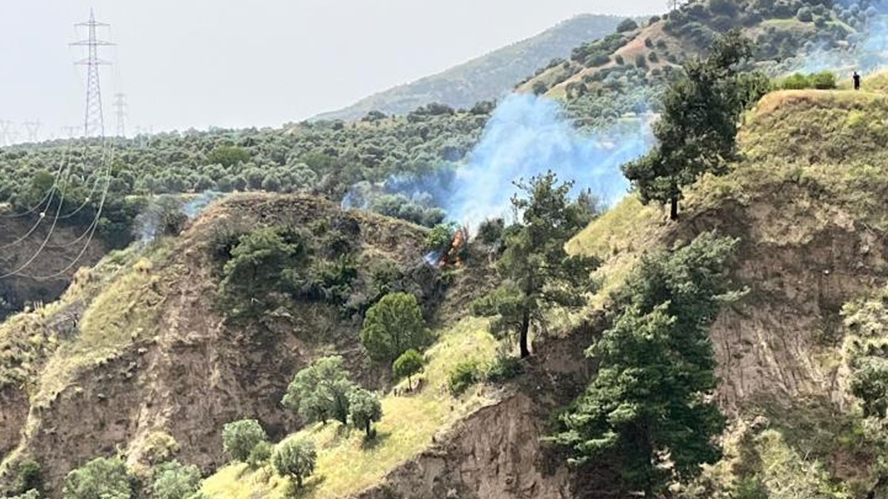 Aydın'da otluk alanda yangın