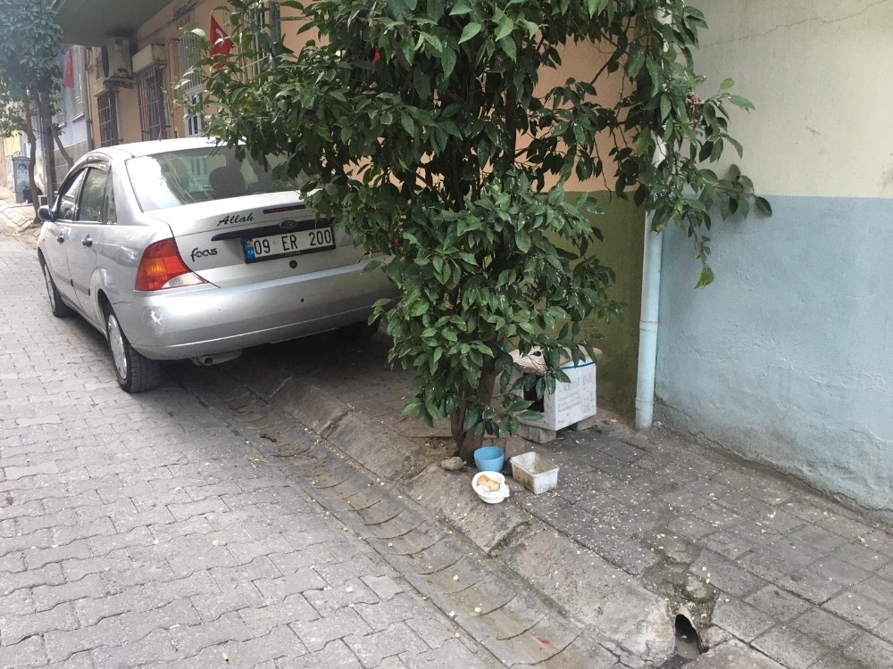 Aydın’da soğuk havada iç ısıtan görüntü 