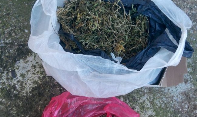 Aydın'da uyuşturucu operasyonu