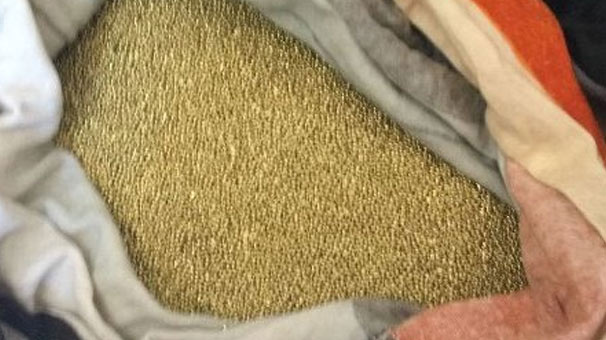 Aydın'da yakalanmasalardı 5,5 kilo sahte altın yapıp...
