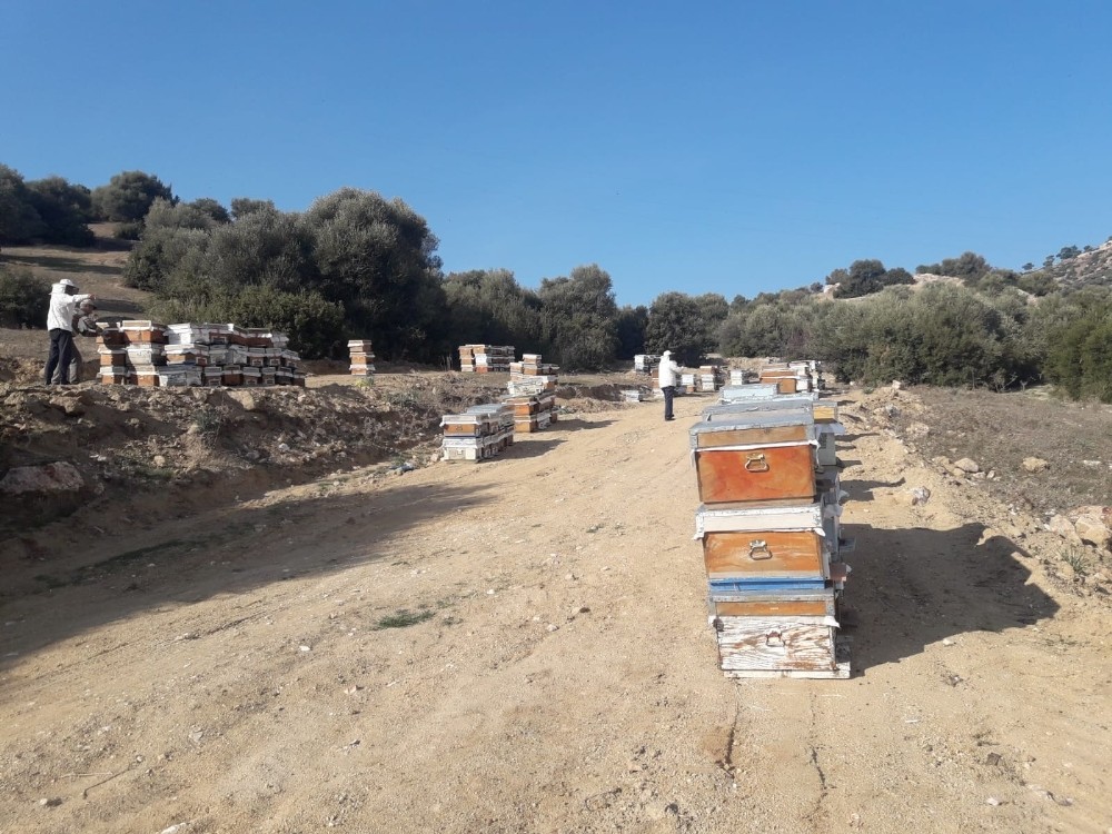 Aydın’da yaşlı ve hasta çiftçiler, muhtarlıklara bilgi vererek faaliyetlerine devam edebilecek 