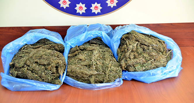 Aydın'da yolcu otobüsünde 4,8 kilo esrar ele geçirildi