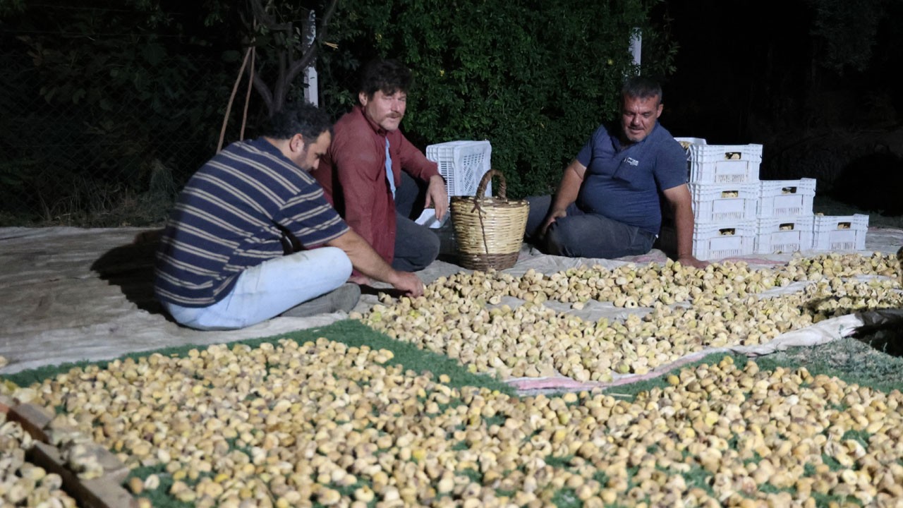 Aydın'da zamana karşı yarış başladı!