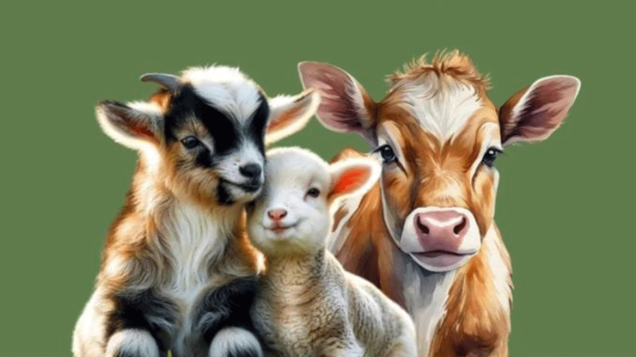 Aydın'daki çiftçilere önemli uyarı!