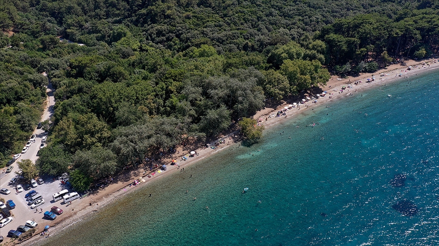 Aydın'daki Dilek Yarımadası'na giriş çıkışlar yasaklandı