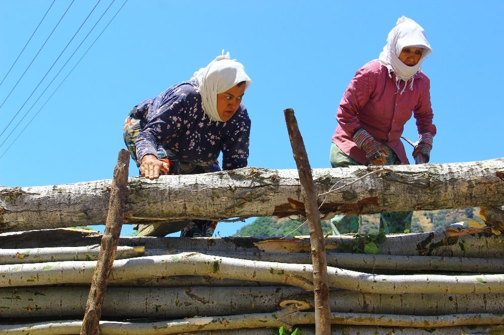 Aydın’daki keresteci kadınların ekmek mücadelesi 