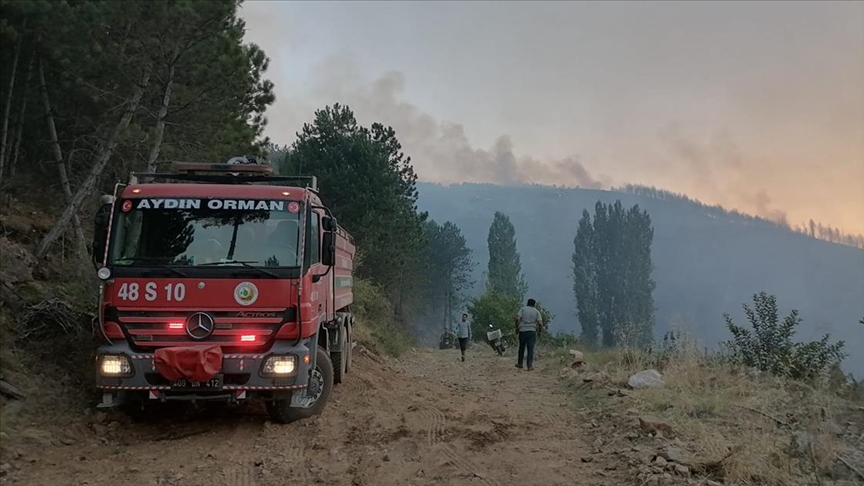 Aydın'daki orman yangını nedeniyle bir mahalle kısmen tahliye edildi