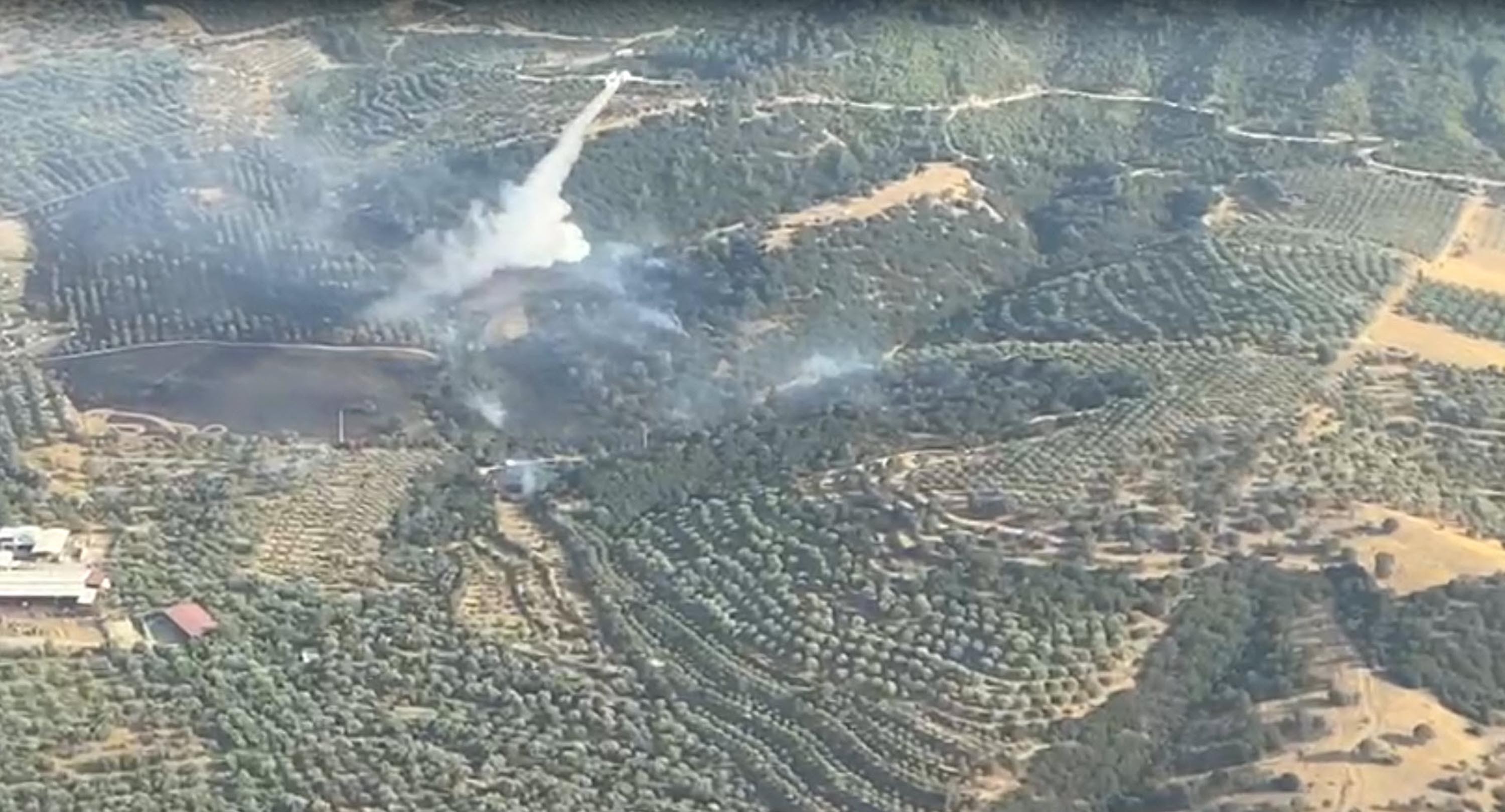 Aydın'daki yangın 1 saatte söndürüldü