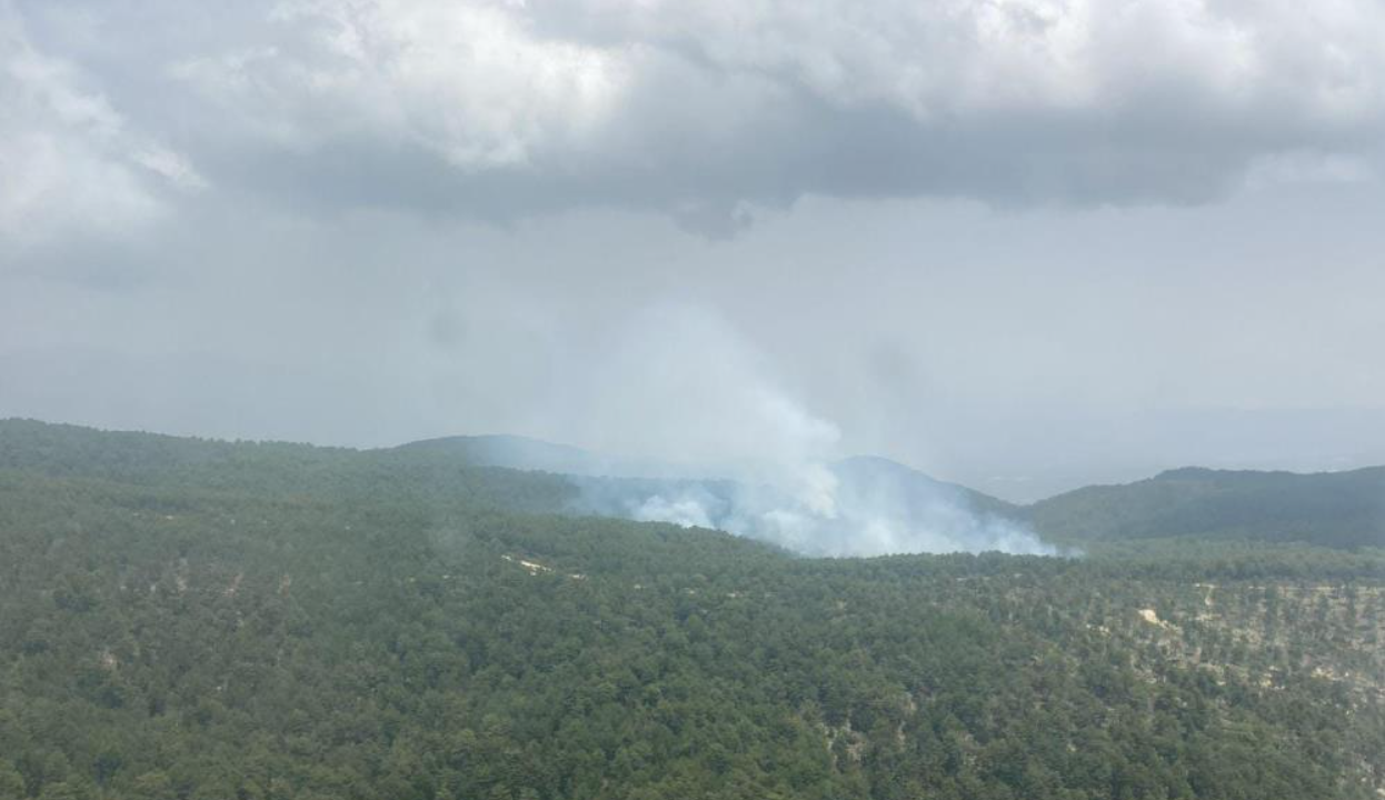 Aydın'daki yangın kontrol altında