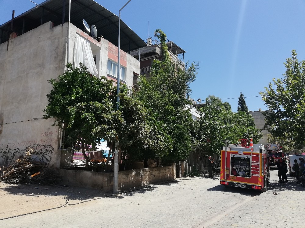 Aydın’daki yangın korkuttu 